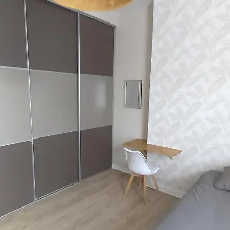 Histoire De Loire - Du Bellay סומור