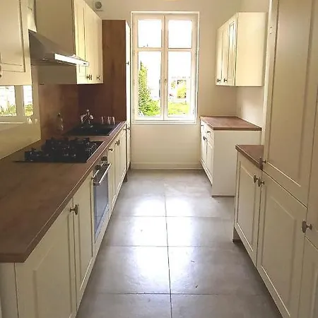 Histoire De Loire - Du Bellay Сомюр