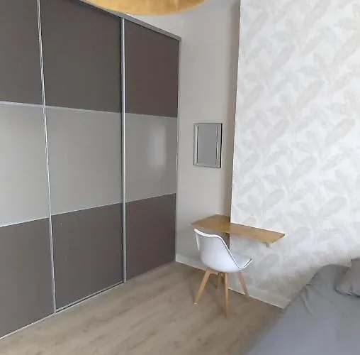 Histoire De Loire - Du Bellay Saumur