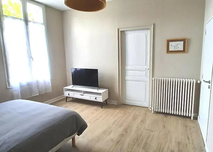 Histoire De Loire - Du Bellay