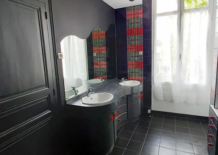 Histoire De Loire - Du Bellay Saumur