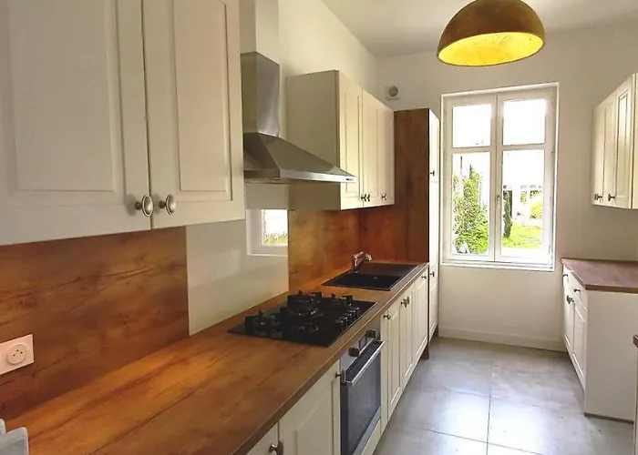 Histoire De Loire - Du Bellay 招待所 索米尔