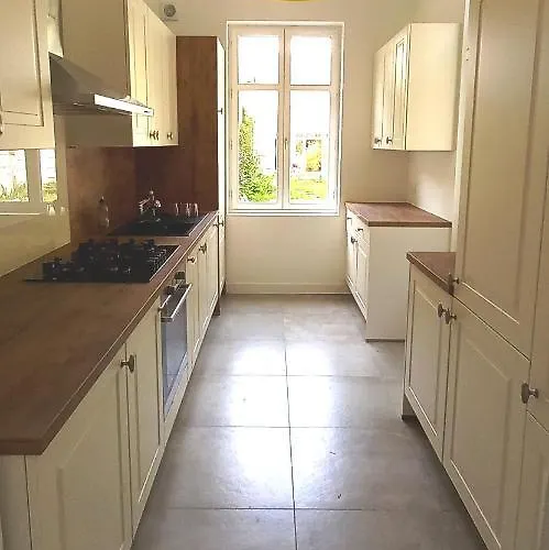 Histoire De Loire - Du Bellay Saumur